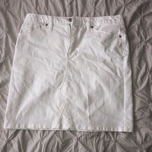 Long / High Wiest Skirt